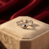 BAGUE APERTURA