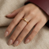 BAGUE APERTURA