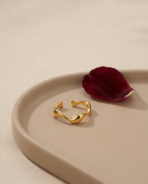 BAGUE APERTURA